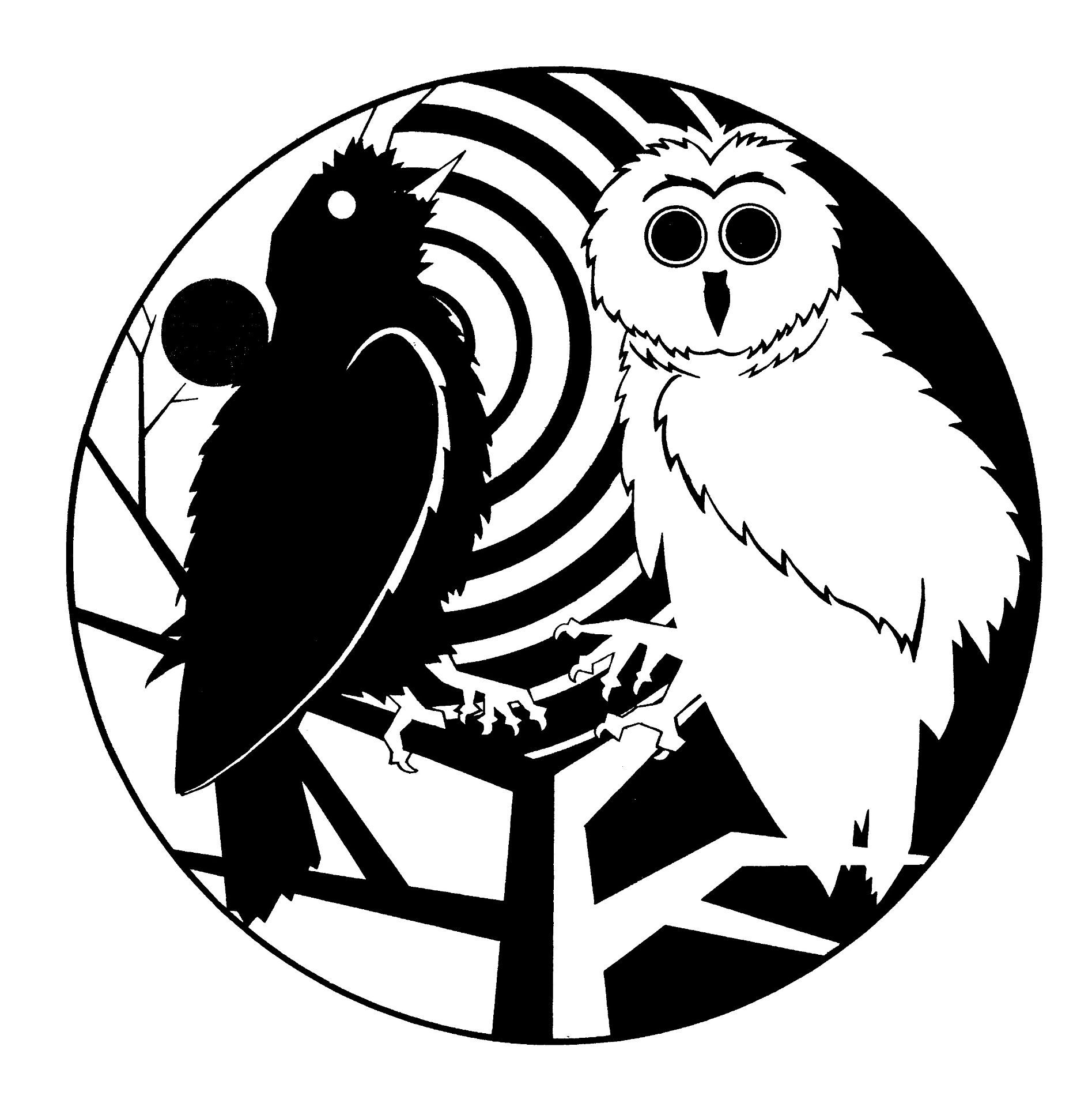 Raven and Owl